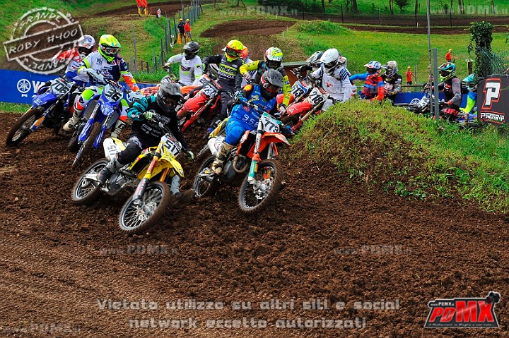 _DSC2468 (Copy).jpg